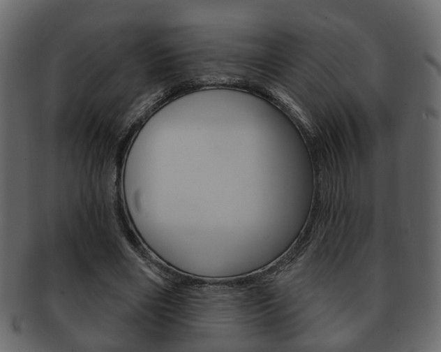 X0000093210490200709261428