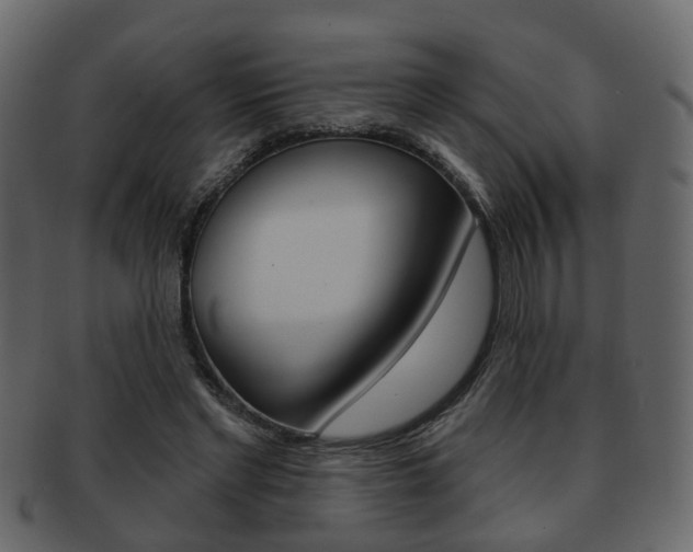 X0000093210493200709261428