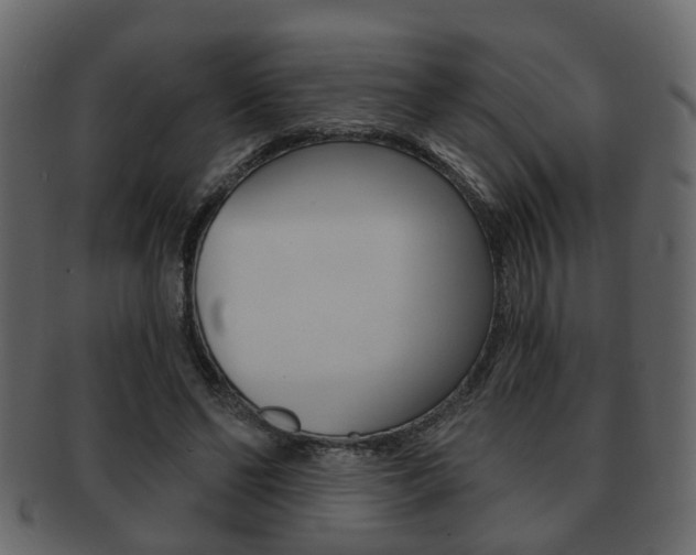 X0000093210494200709261428