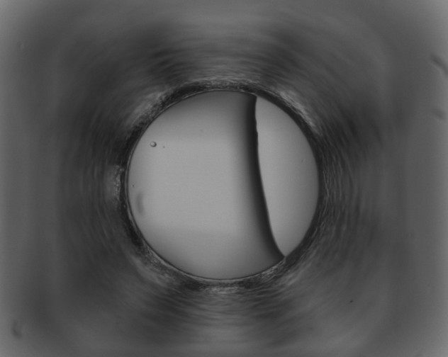 X0000093210495200709261428