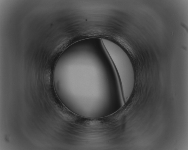 X0000093210501200709261428