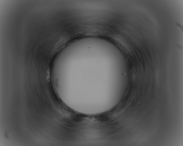 X0000093210502200709261428