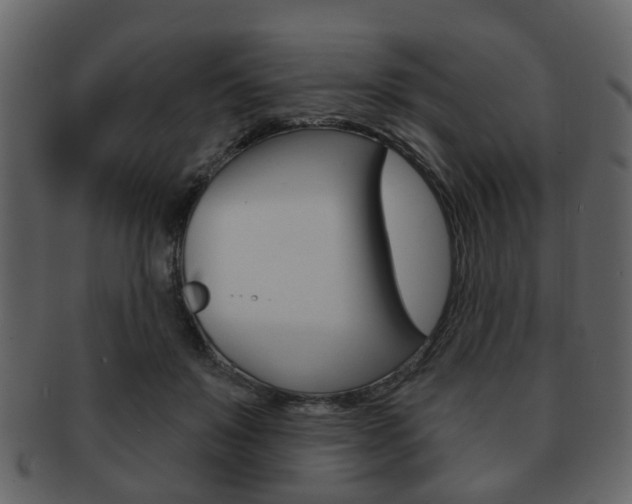 X0000093210503200709261428