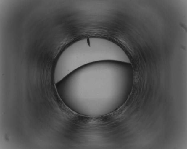 X0000093210504200709261428