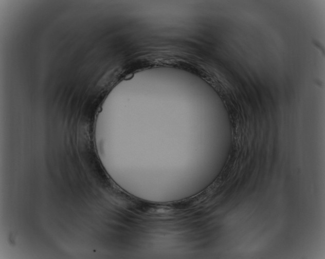 X0000093210506200709261428