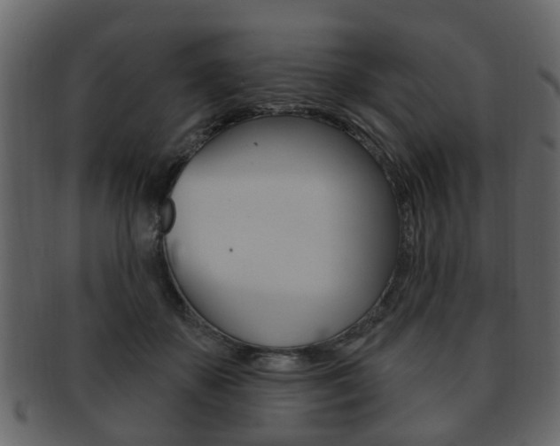X0000093210507200709261428