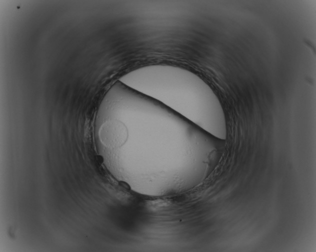 X0000093210511200709261428