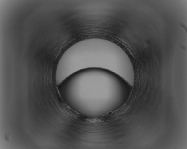X0000093210512200709261428