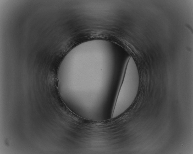 X0000093210513200709261428