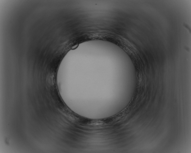 X0000093210514200709261428