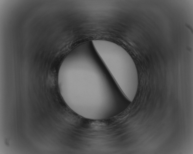 X0000093210515200709261428