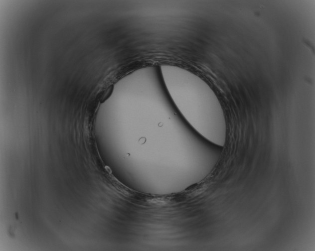 X0000093210516200709261428