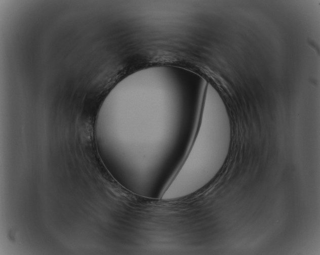 X0000093210517200709261428