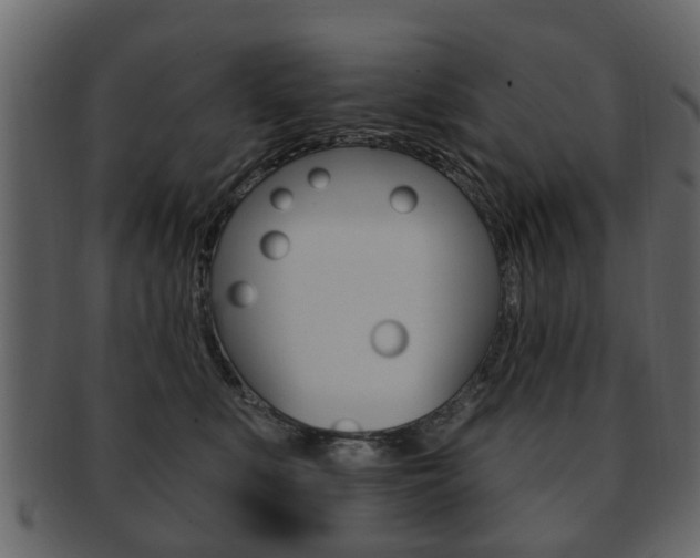 X0000093210519200709261428