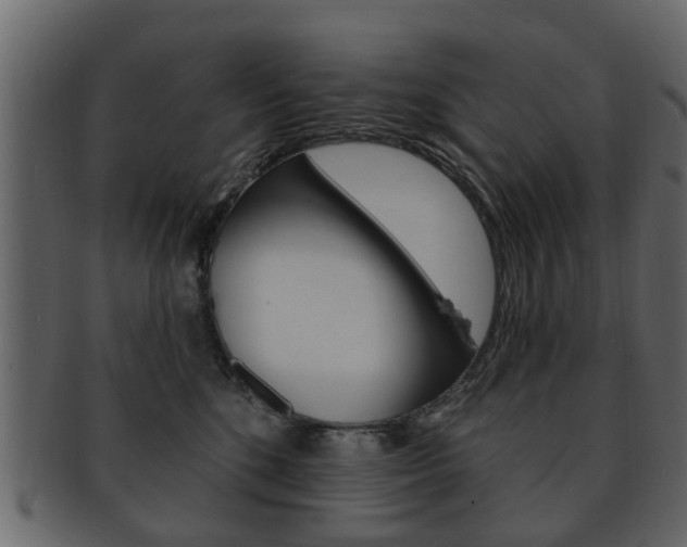 X0000093210520200709261428