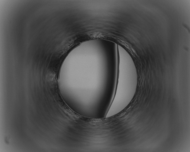 X0000093210521200709261428