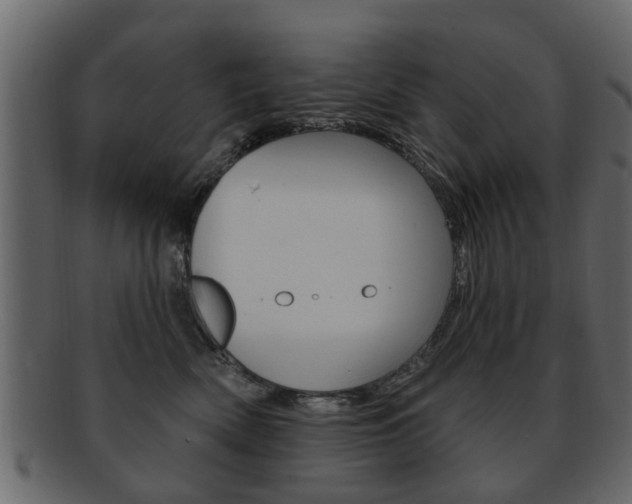 X0000093210522200709261428