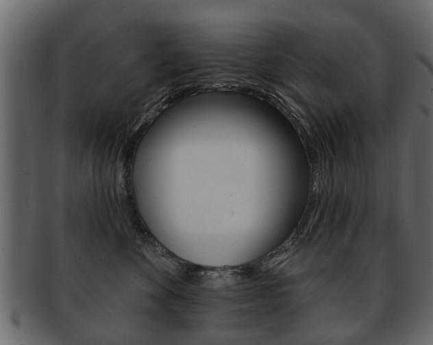 X0000093210524200709261428