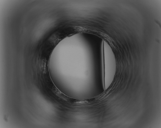 X0000093210525200709261428