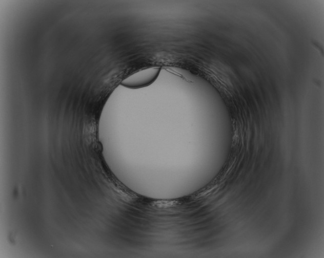 X0000093210526200709261428