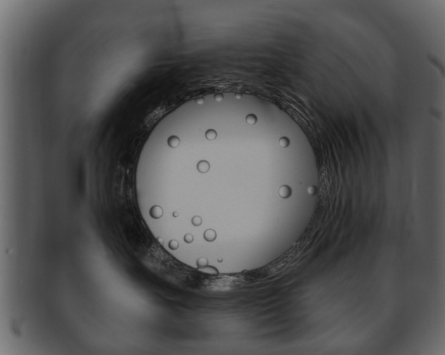 X0000093210527200709261428