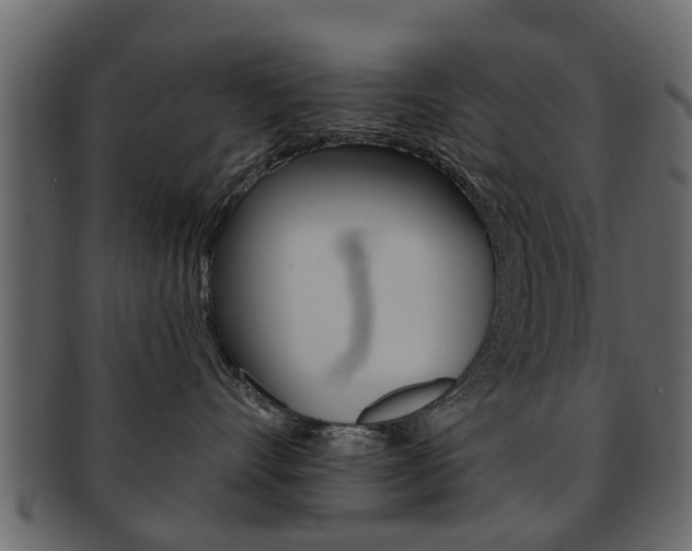 X0000093210528200709261428
