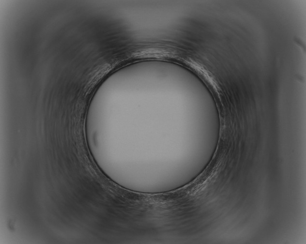 X0000093210529200709261427
