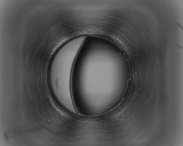 X0000093210530200709261427