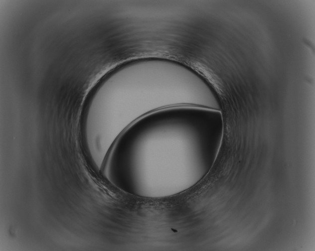 X0000093210532200709261427