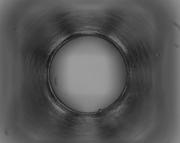 X0000093210533200709261427