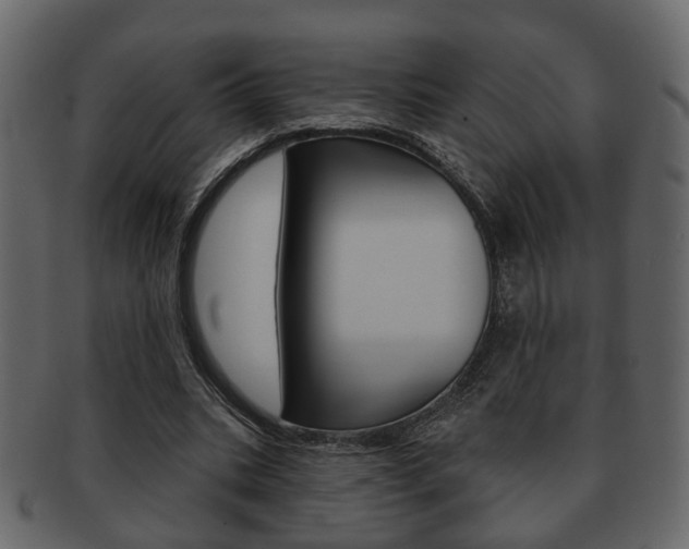 X0000093210535200709261427