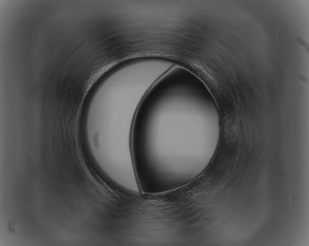 X0000093210536200709261427