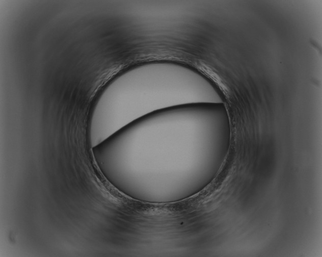 X0000093210537200709261427