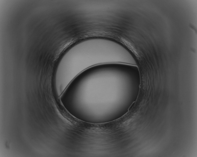 X0000093210538200709261427
