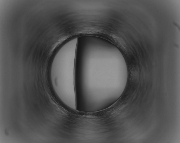 X0000093210539200709261427