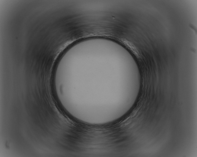 X0000093210540200709261427