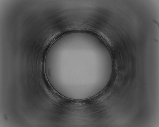 X0000093210542200709261427