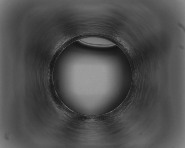 X0000093210544200709261427