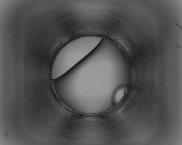 X0000093210545200709261427
