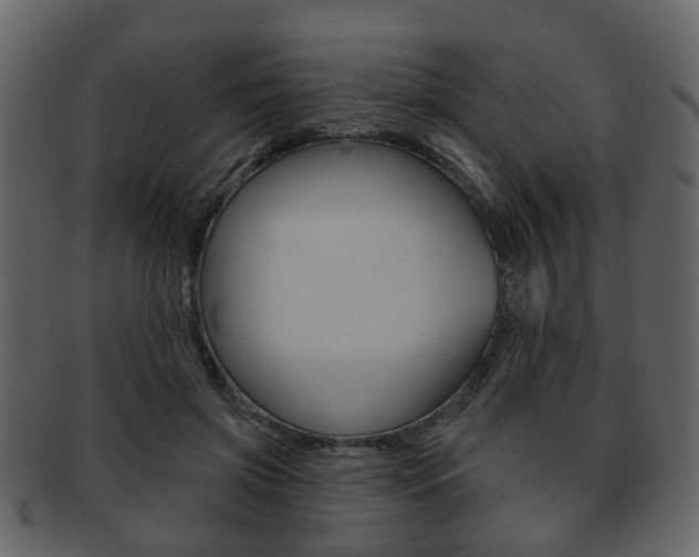 X0000093210549200709261427