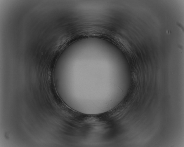 X0000093210551200709261427
