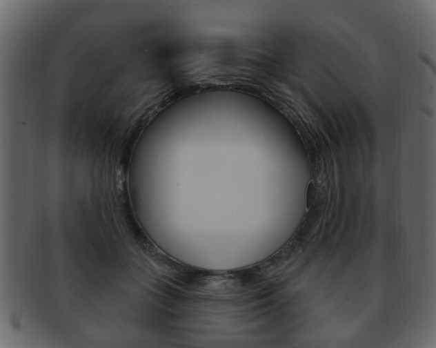 X0000093210555200709261427