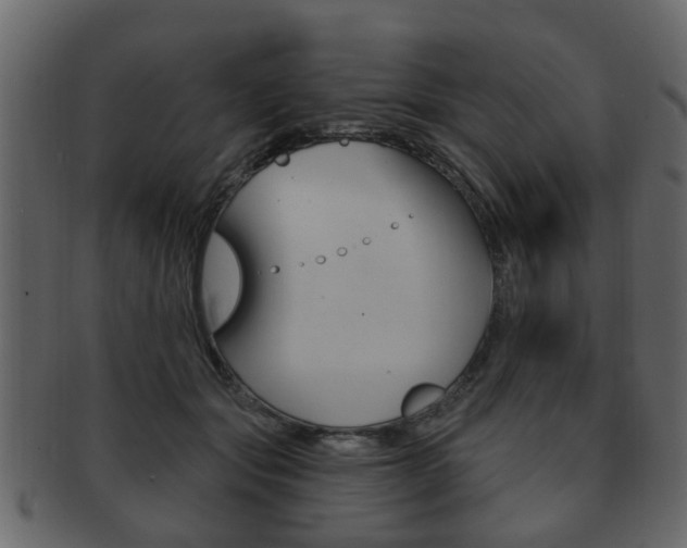X0000093210557200709261427