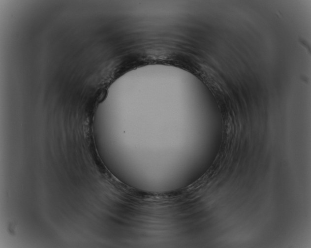 X0000093210559200709261427