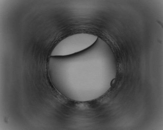 X0000093210561200709261427