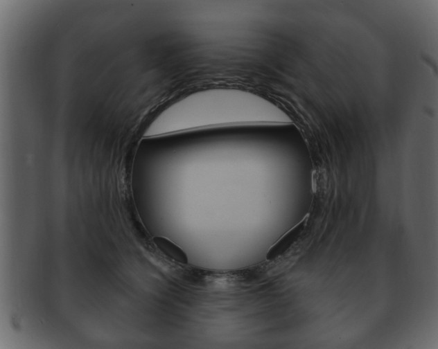 X0000093210564200709261427
