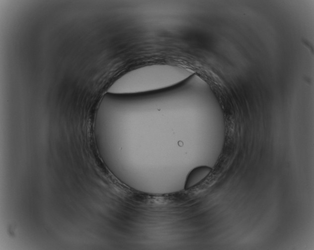 X0000093210565200709261427