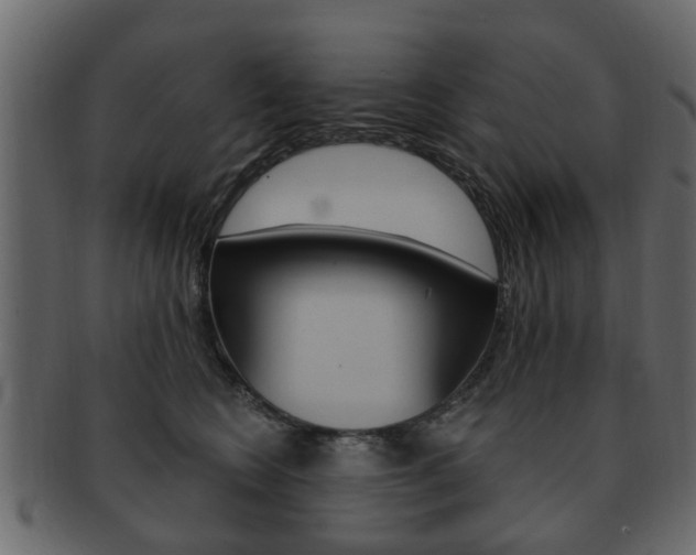 X0000093210566200709261427
