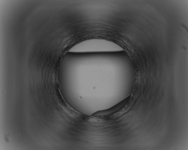X0000093210568200709261427