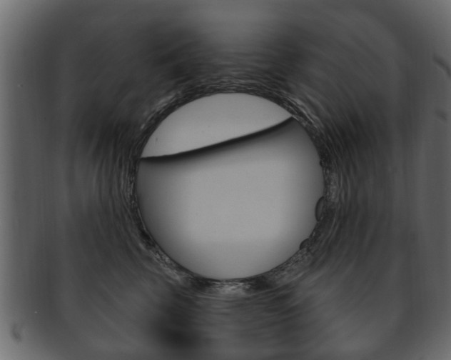 X0000093210569200709261427